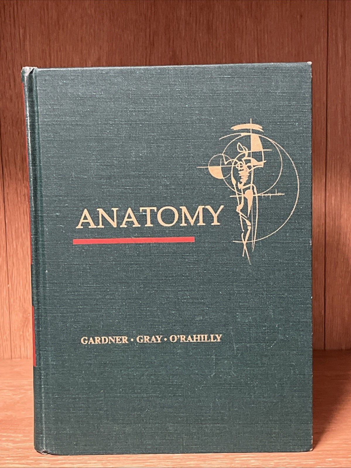 ANATOMY: A Regional Study Of Human Structure Gardner, Gray, O'Rahilly 4th Ed