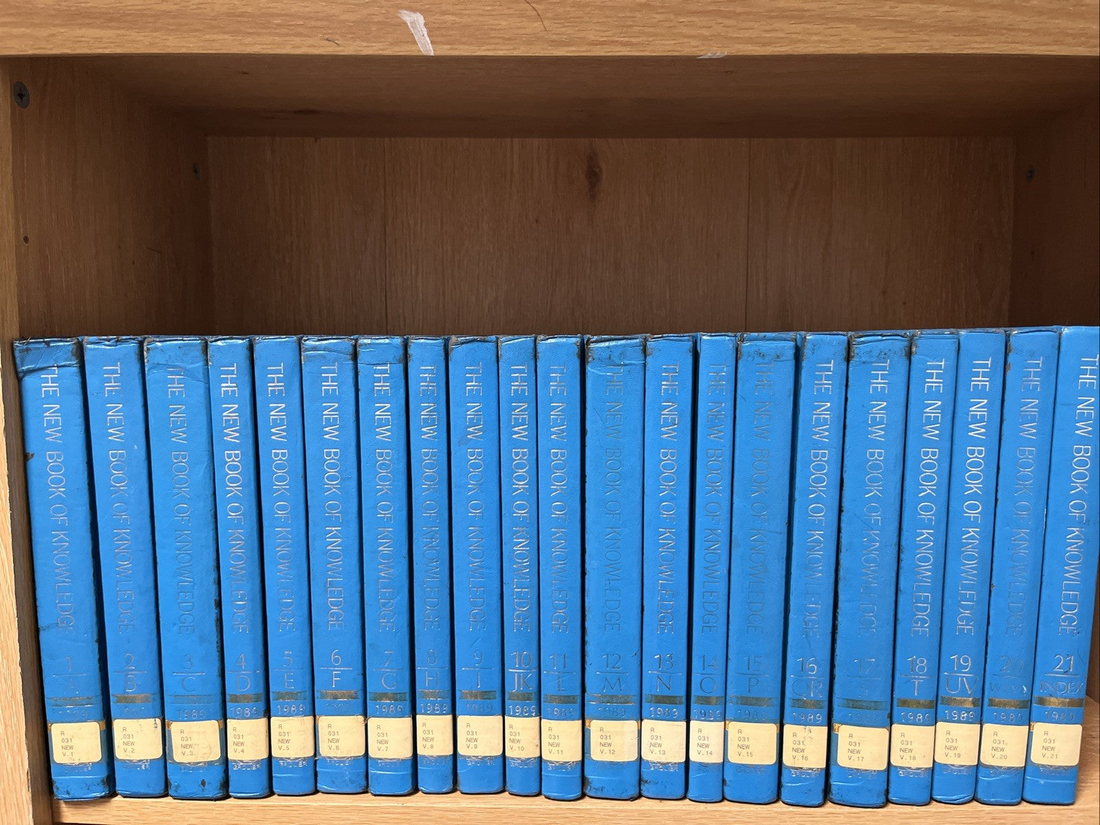 The New Book of Knowledge Encyclopedia 1989 Complete Set 21 Vols. Deluxe Lib Ed