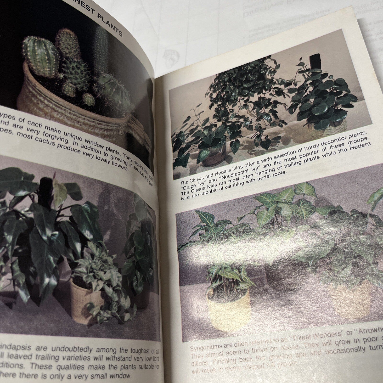 Mother Nature's Handbook Secrets for Thriving Indoor Plants Vintage Book (1976)