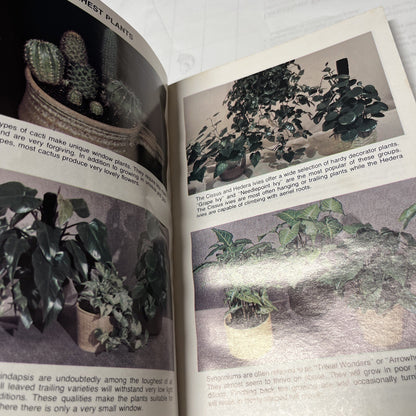 Mother Nature's Handbook Secrets for Thriving Indoor Plants Vintage Book (1976)