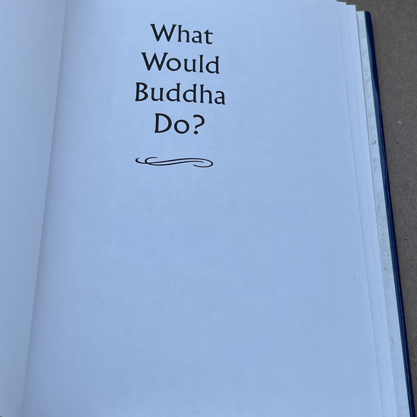 What Would Buddha Do By Metcalf, Franz - Hardcover  1999 GOOD