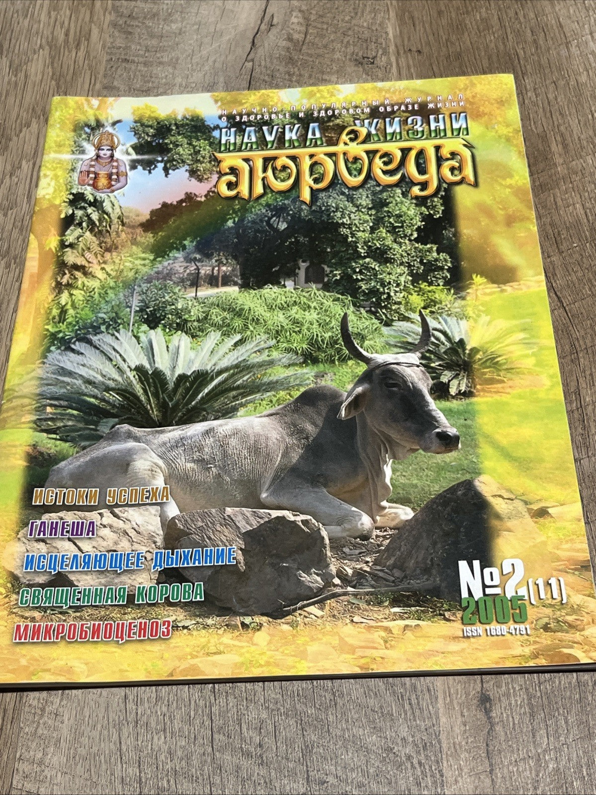 НАУКА КИЗНИ аюрведа  ИСТОКИ УСПЕХА 