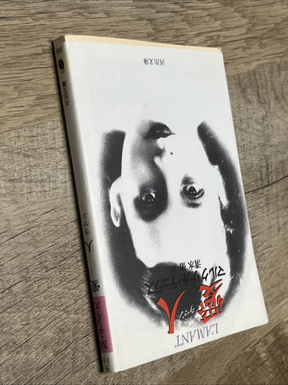 L'AMANT Marguerite Duras Japanese Edition 430920077X Hardcover 1985/6/1 Kawade