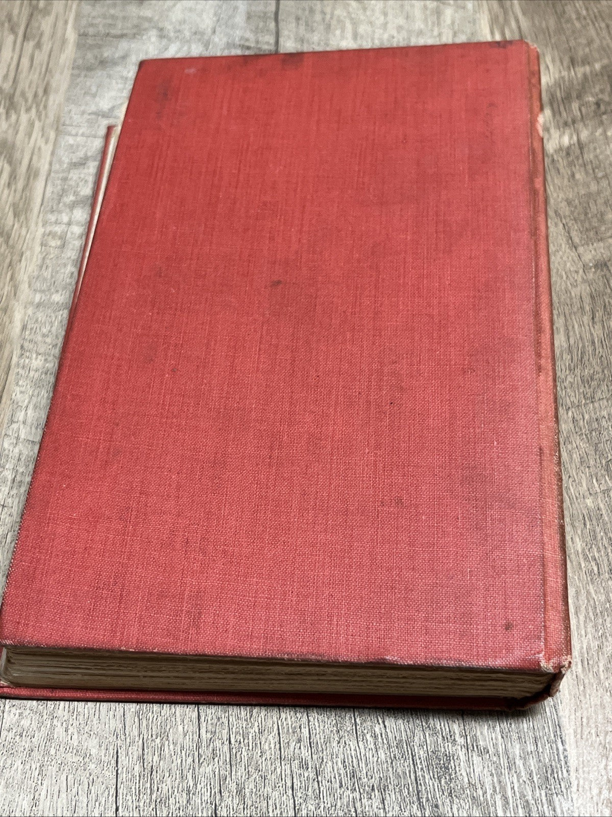 Old Book Gallops 2 by David Gray 1903