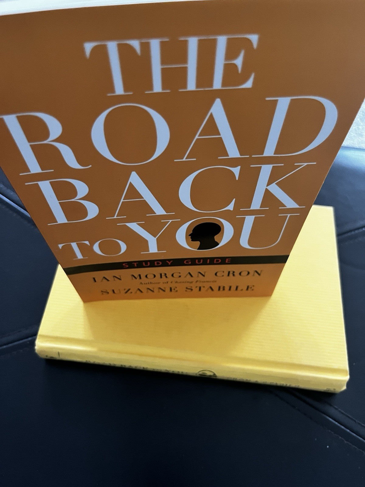 the road back to you: An Enneagram Journey To Self-Discovery PLUS Study Guide