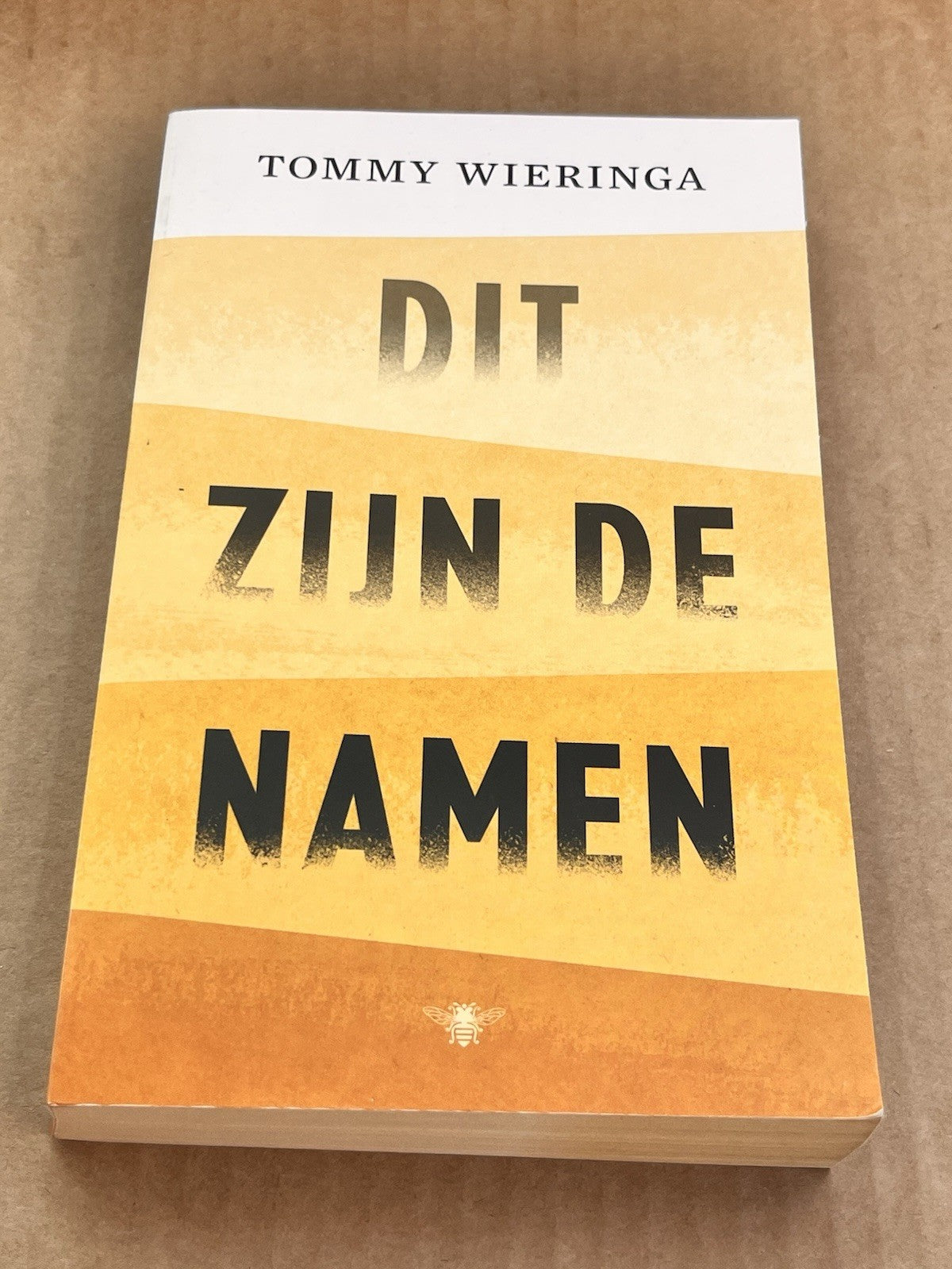 DIT ZIJN DE NAMEN By Tommy Wieringa