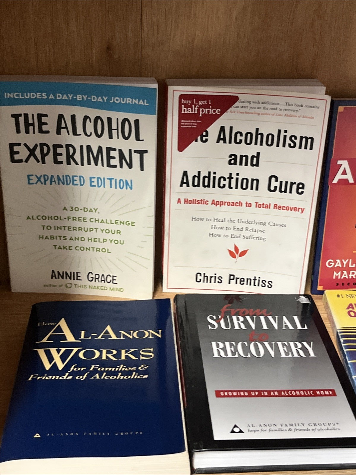 Lot of 8  Alcohol Experiment, Addiction Cure, Families & Friends Recovery Drug