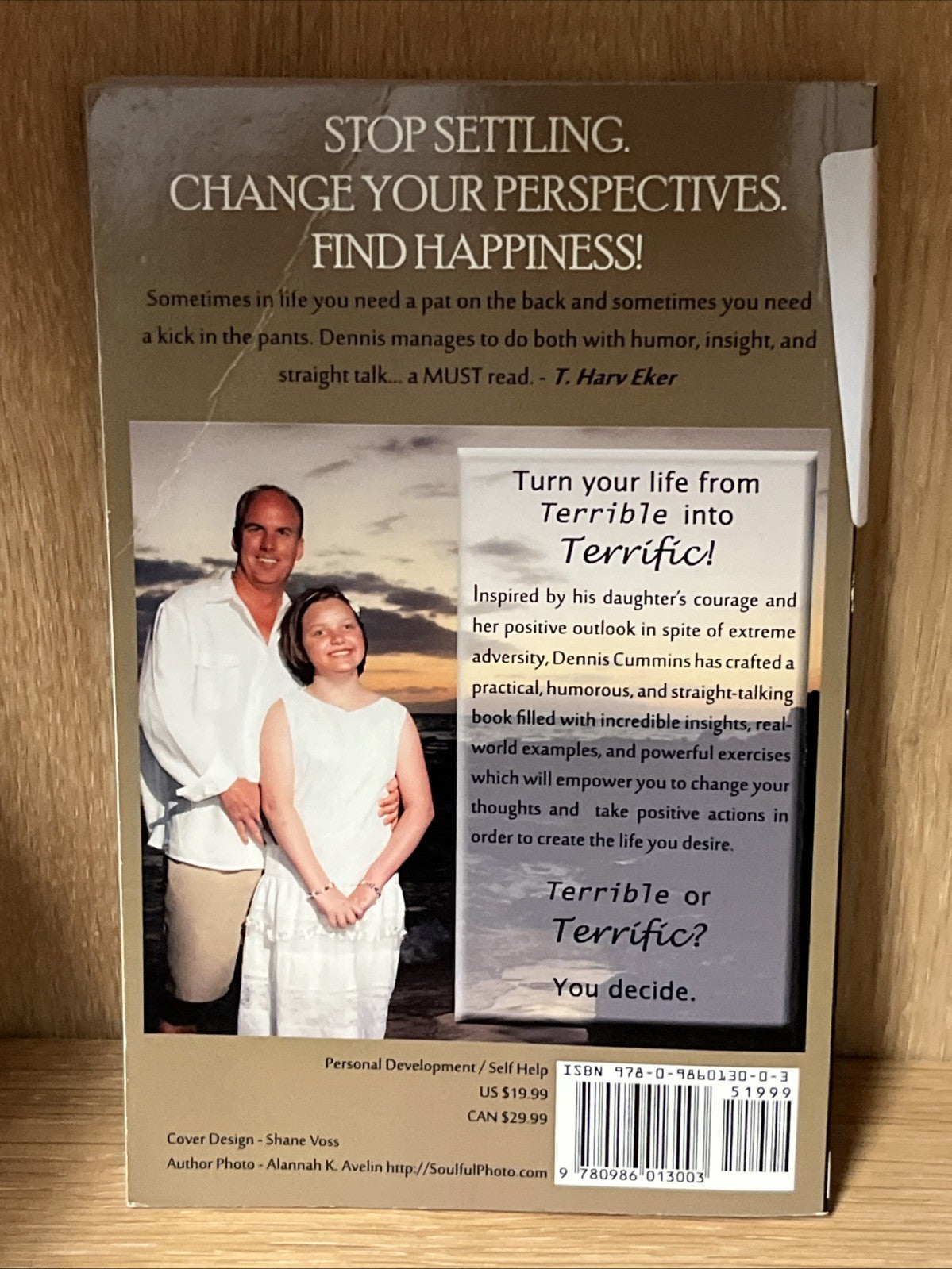 Turning Terrible into Terrific - Paperback, by Cummins Dr Dennis - Very Good