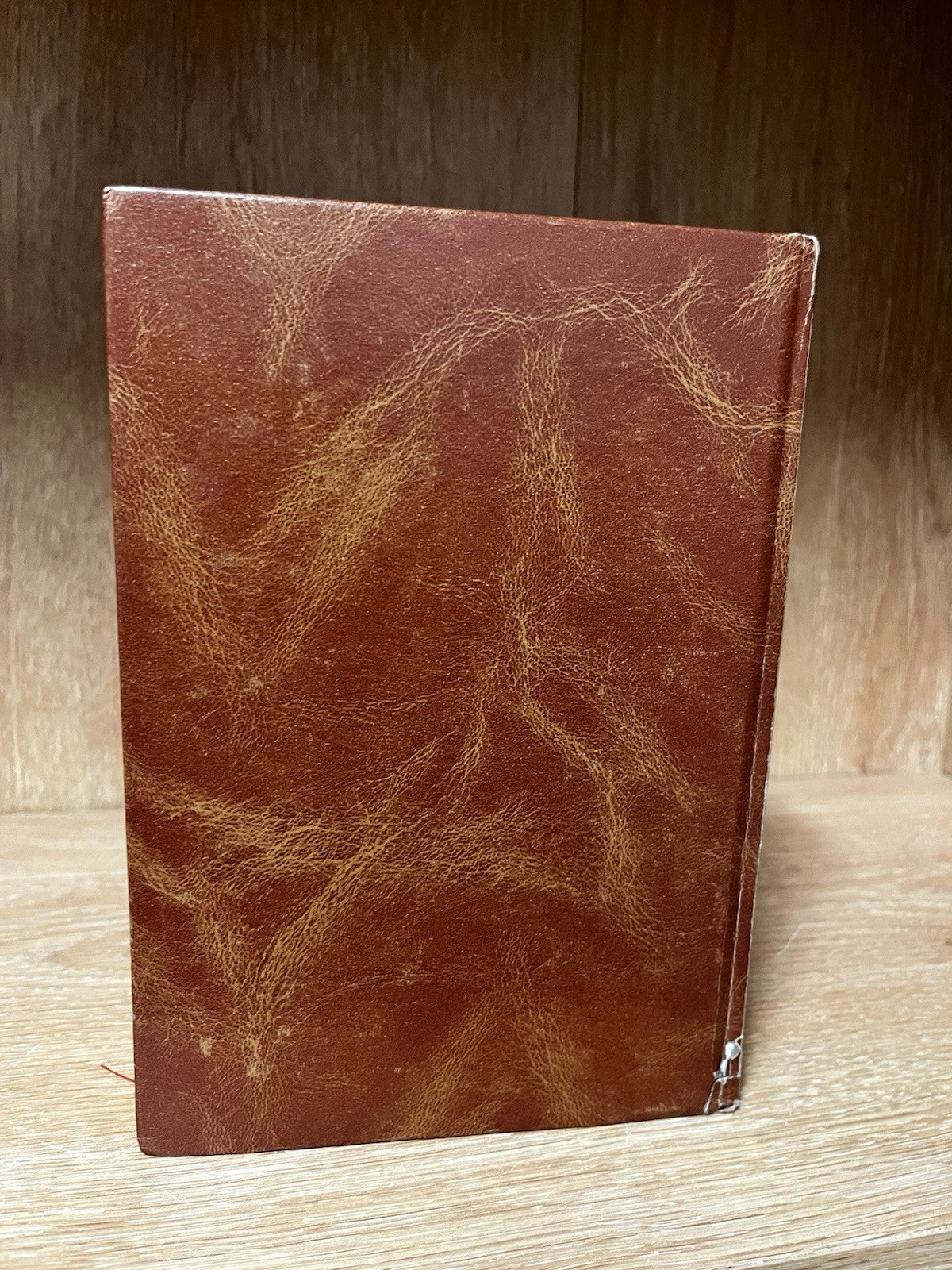 biblia sagrada portuguese Difusora Biblical PARA O TERCEIRO MILENIO ENCARNACAO