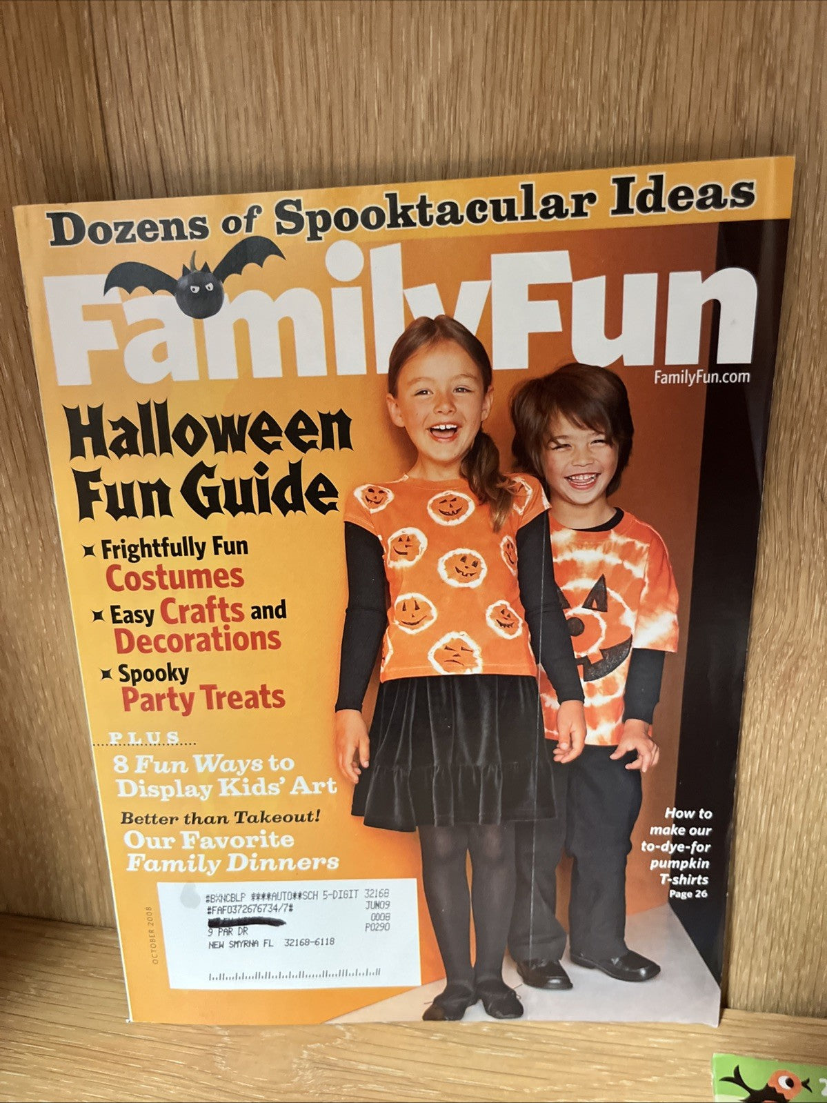 Family Fun Magazine 9 Lot 2008 and 2009 Assorted Issues