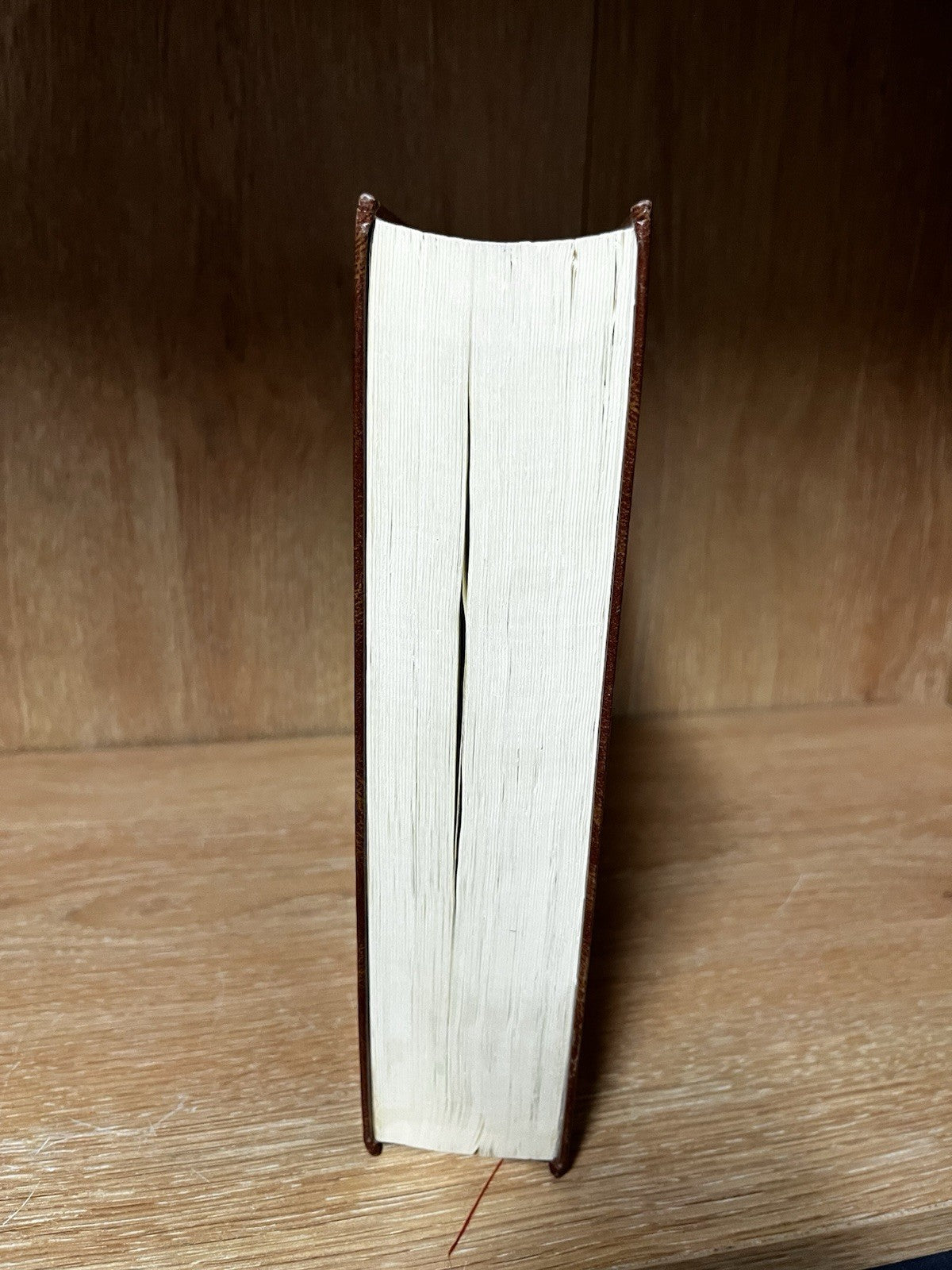 biblia sagrada portuguese Difusora Biblical PARA O TERCEIRO MILENIO ENCARNACAO