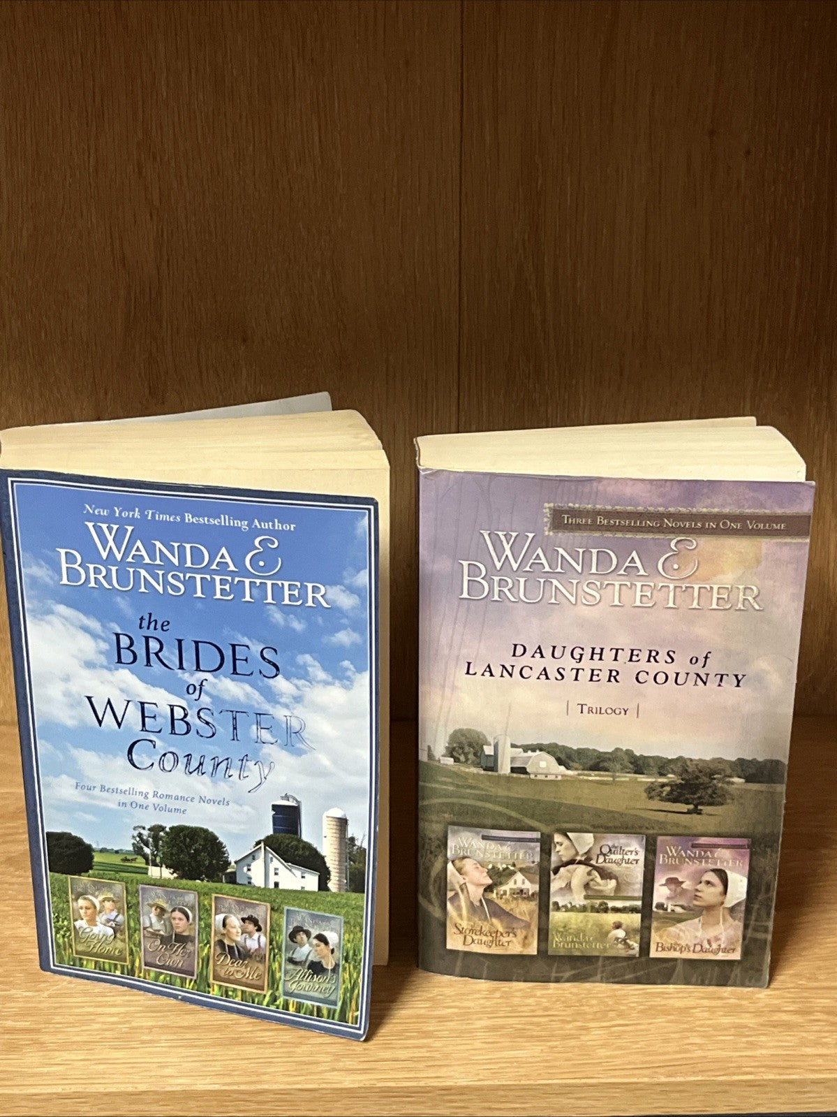 Brides of Webster County & Daughters Of Lancaster County Wanda Brunstetter Lot 2