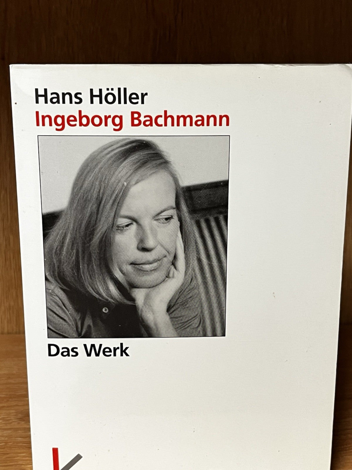 Ingeborg Bachmann Das Werk. Von den frühesten Gedichten bis zum "Todesarten"-Zyk