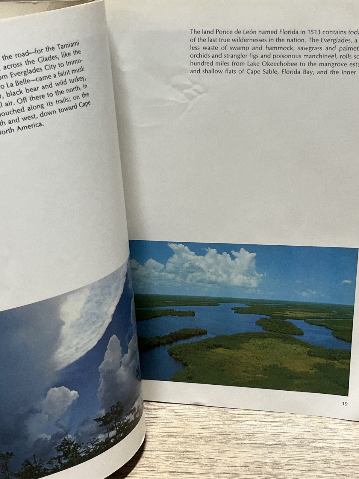 Everglades book 1971 first printing Sierra Club by Patricia Caulfield