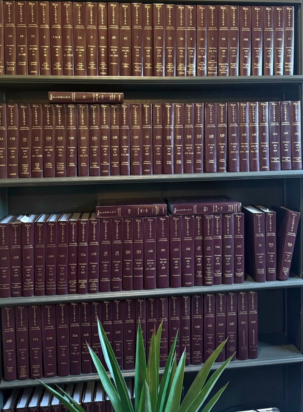 80 Lot West’s Florida Statutes Annotated Hardback Law Books Lawyer Office Decor