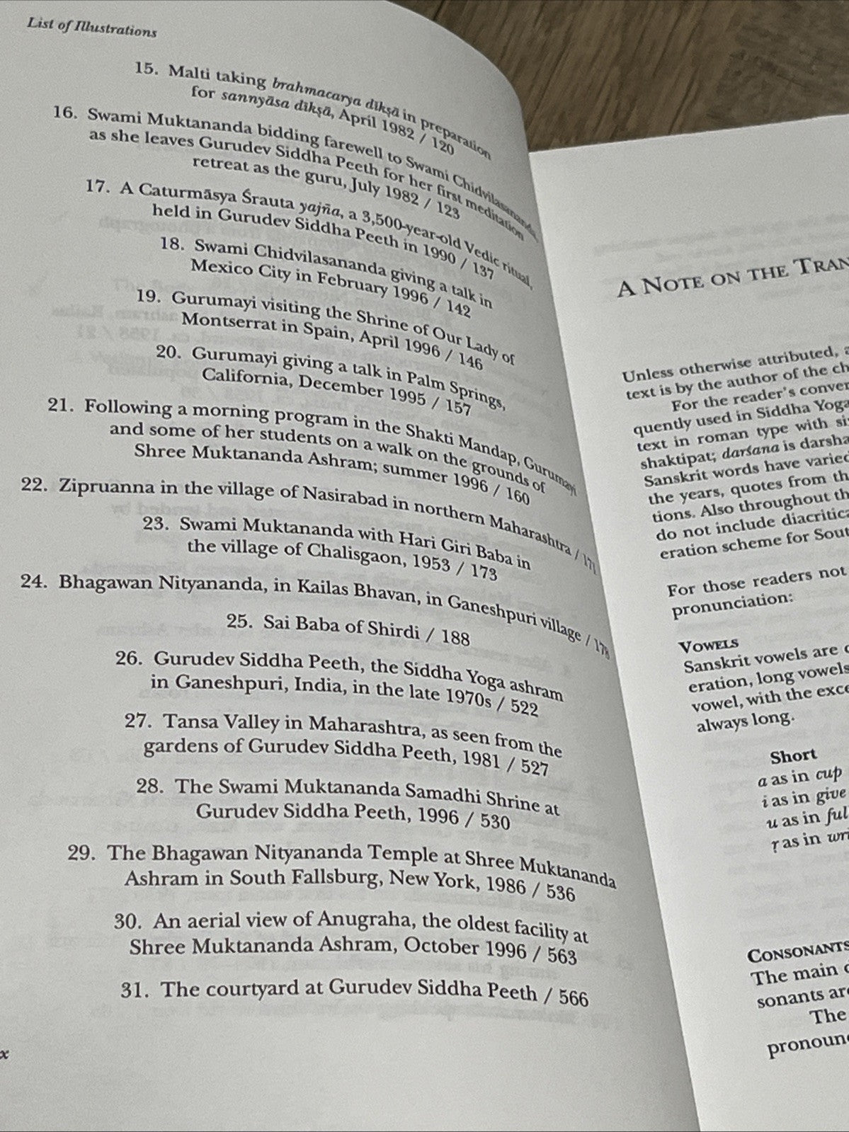 Meditation Revolution 1st Ed A History And Theology Of The Siddha Yoga Lineage