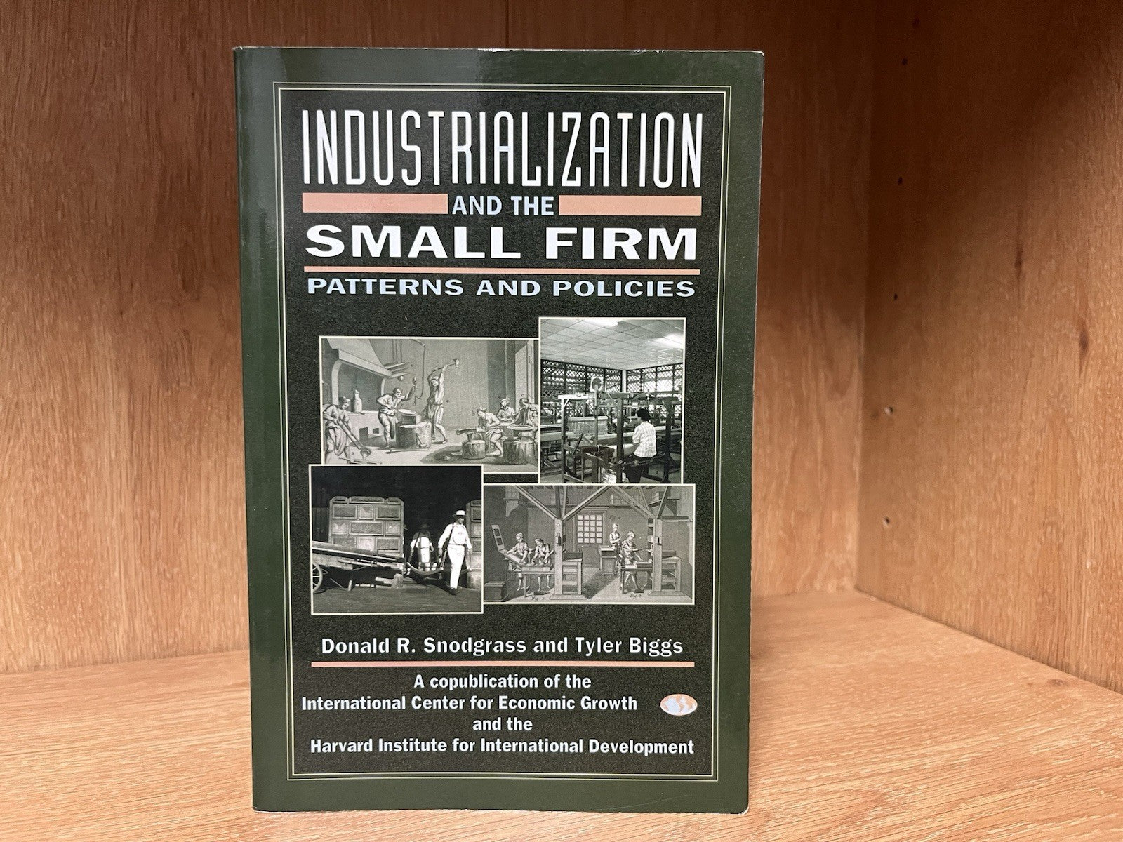 Industrialization and the Small Firm: Patterns and Policies ,Donald R. Snodgrass