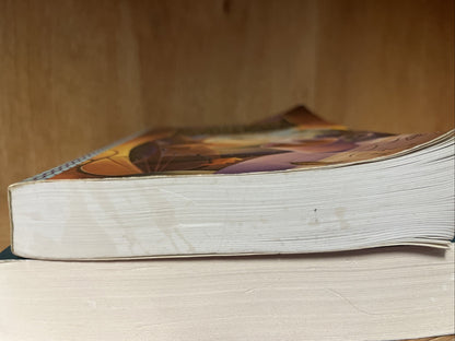 2 The Language of Letting Go Journal Melody Beattie More Language of Letting Go