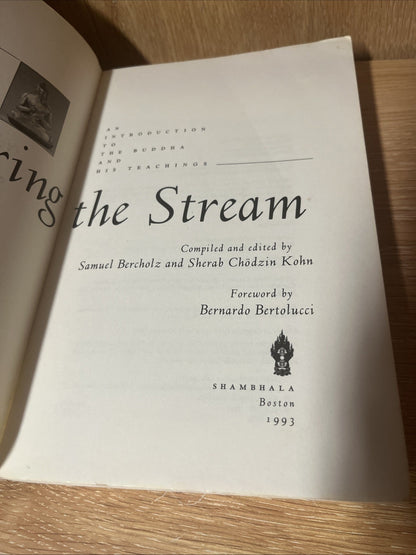 New Age Book Lot of 4 - C.S .Lewis, Entering The Stream, Treasure of Spirit more
