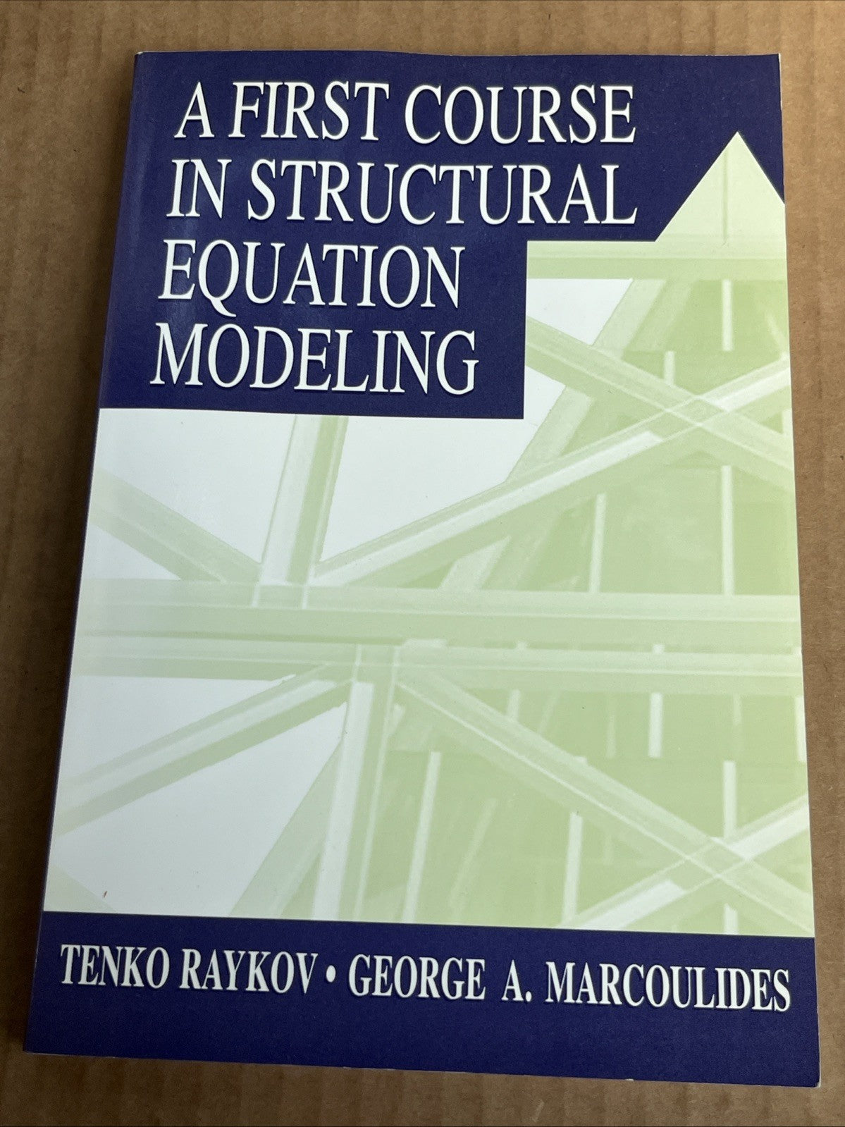 A First Course In Structural Equation Modeling 1st Edition by Tenko Raykov