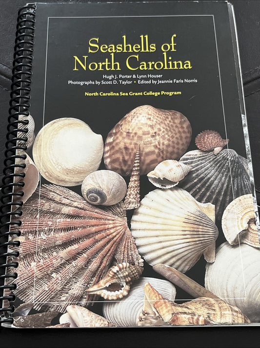 Seashells of North Carolina - Spiral-bound By Porter, Hugh & Houser, Lynn - GOOD