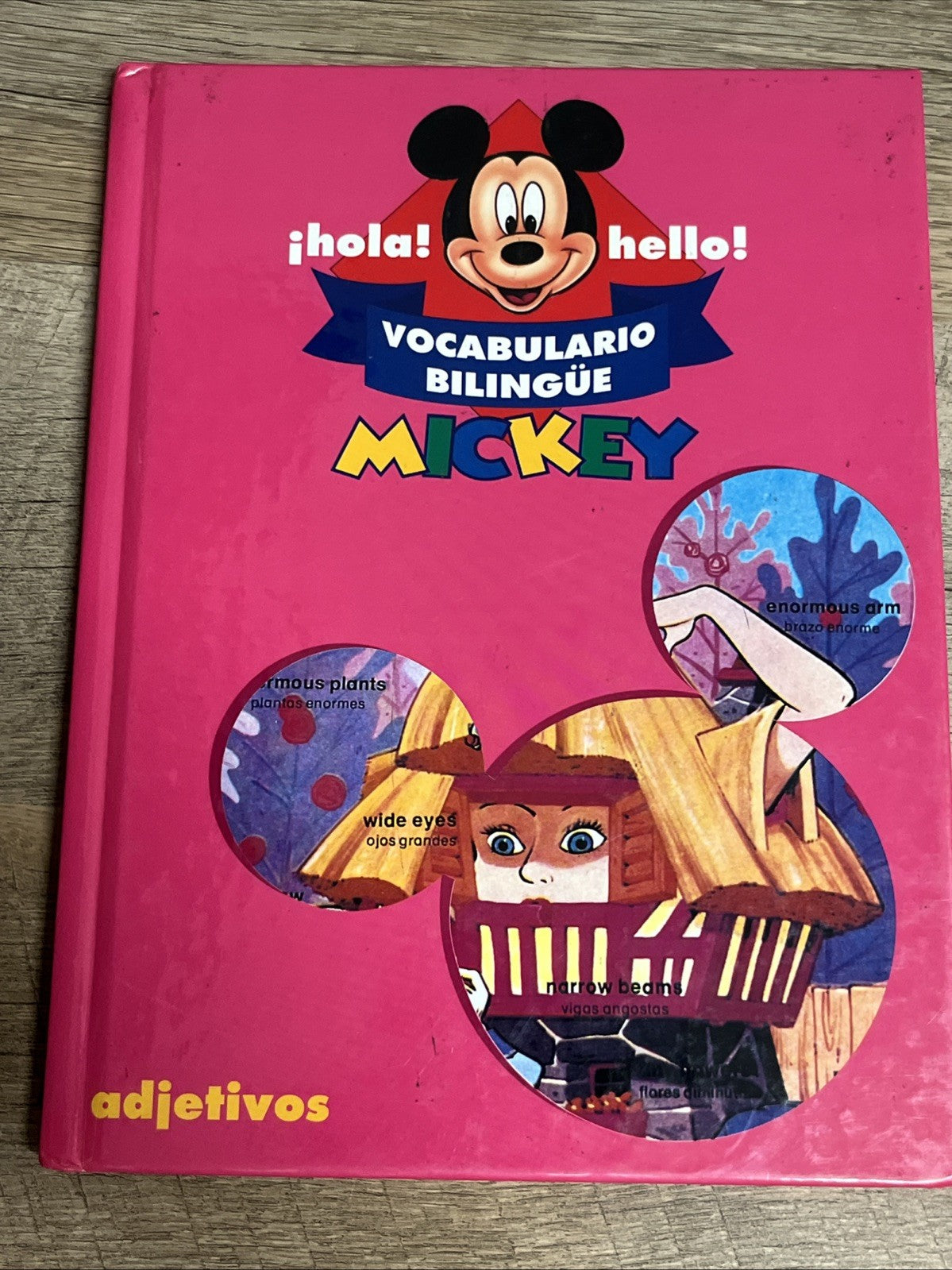 Spanish Children Book Lot 1 2 Vocabulario Bilingual Mickey, El Canto, La Pintura