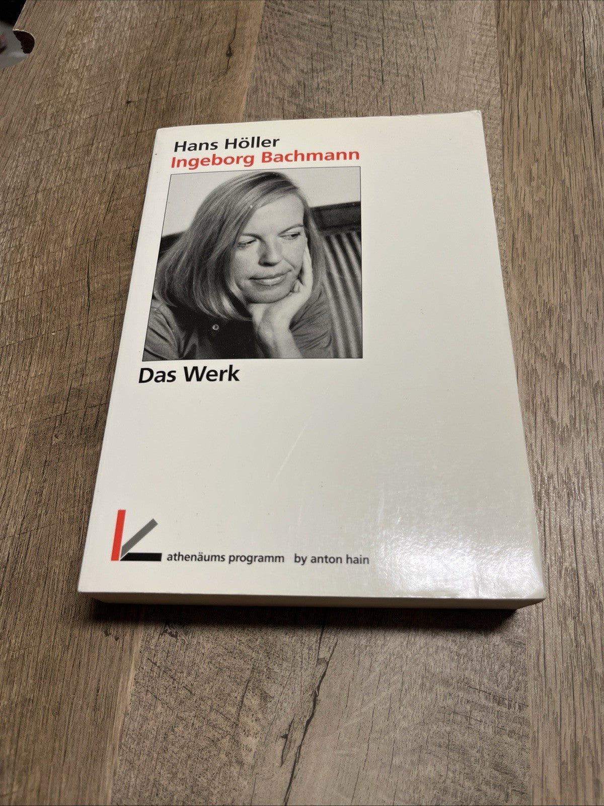 Ingeborg Bachmann Das Werk. Von den frühesten Gedichten bis zum "Todesarten"-Zyk