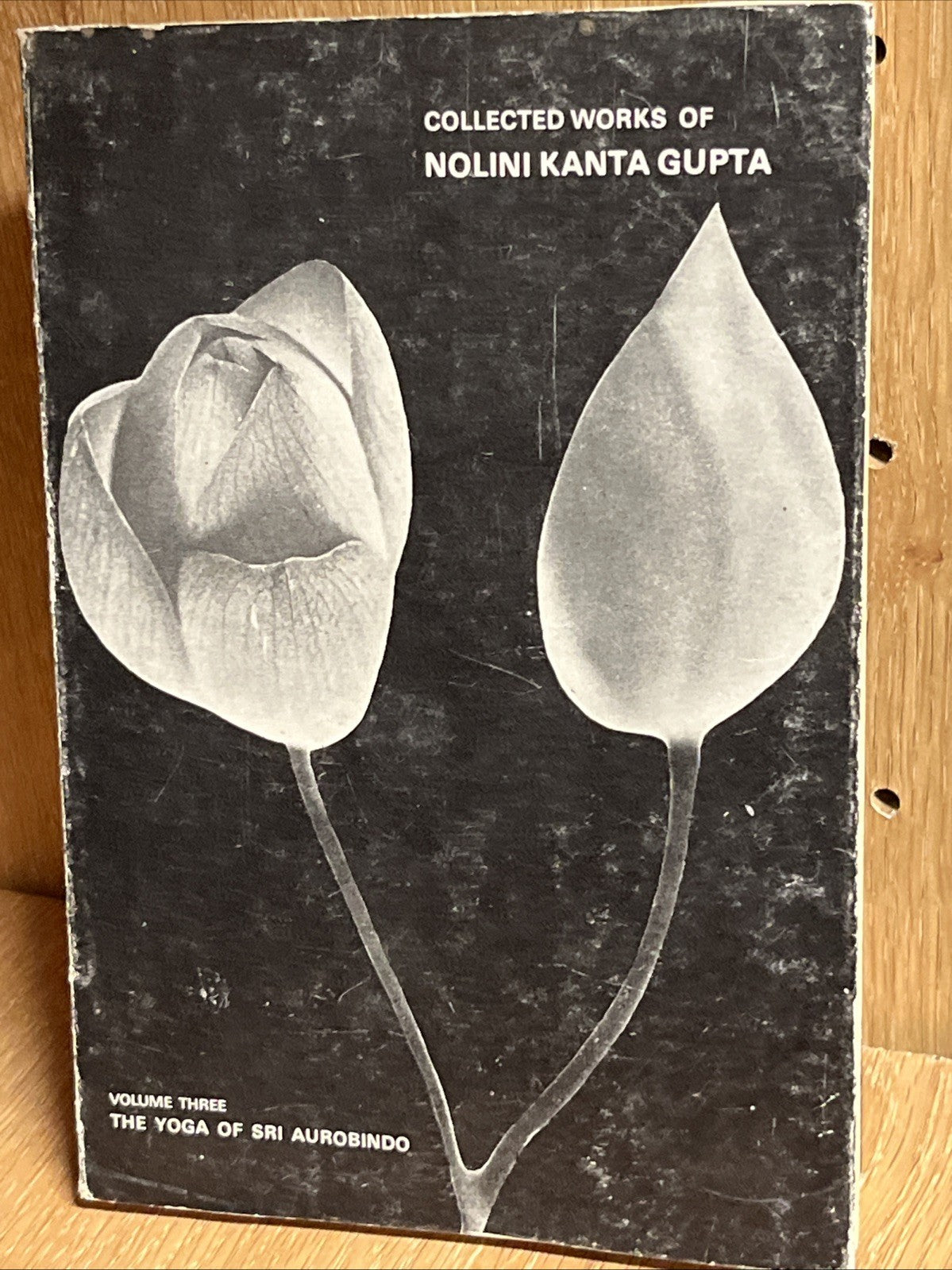 Collected Works of Nolini Kanta Gupta Vol. 1 - 5 and Vol 7 ( See Discription )