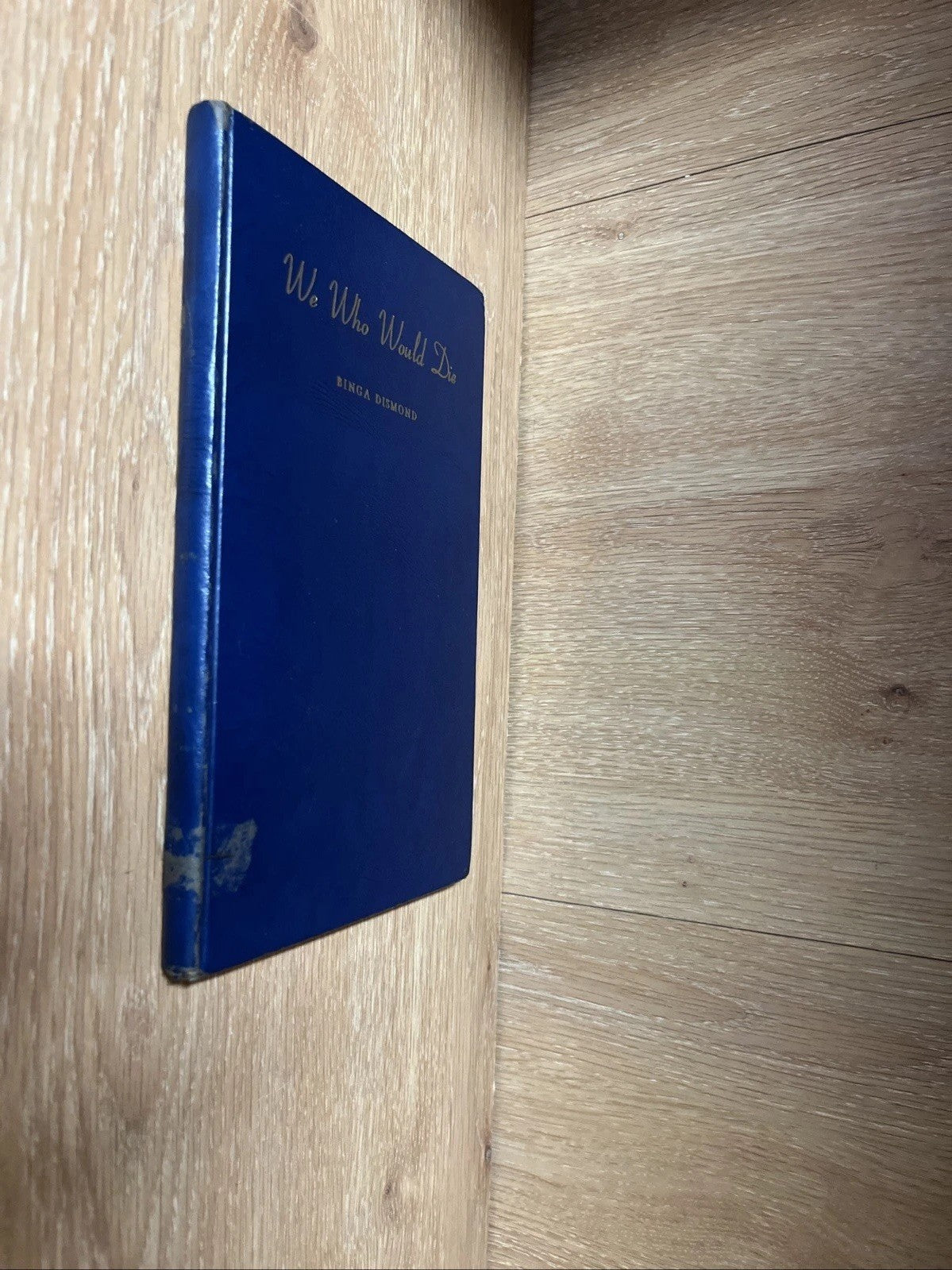 WE WHO WOULD DIE 1st Ed INSCRIBED & SIGNED COPY BY BINGA DISMOND - ILLUSTRATION
