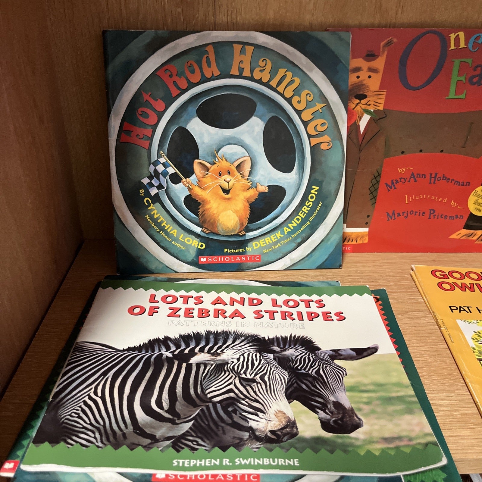 Scholastic Picture Book Lot 10 RANDOM