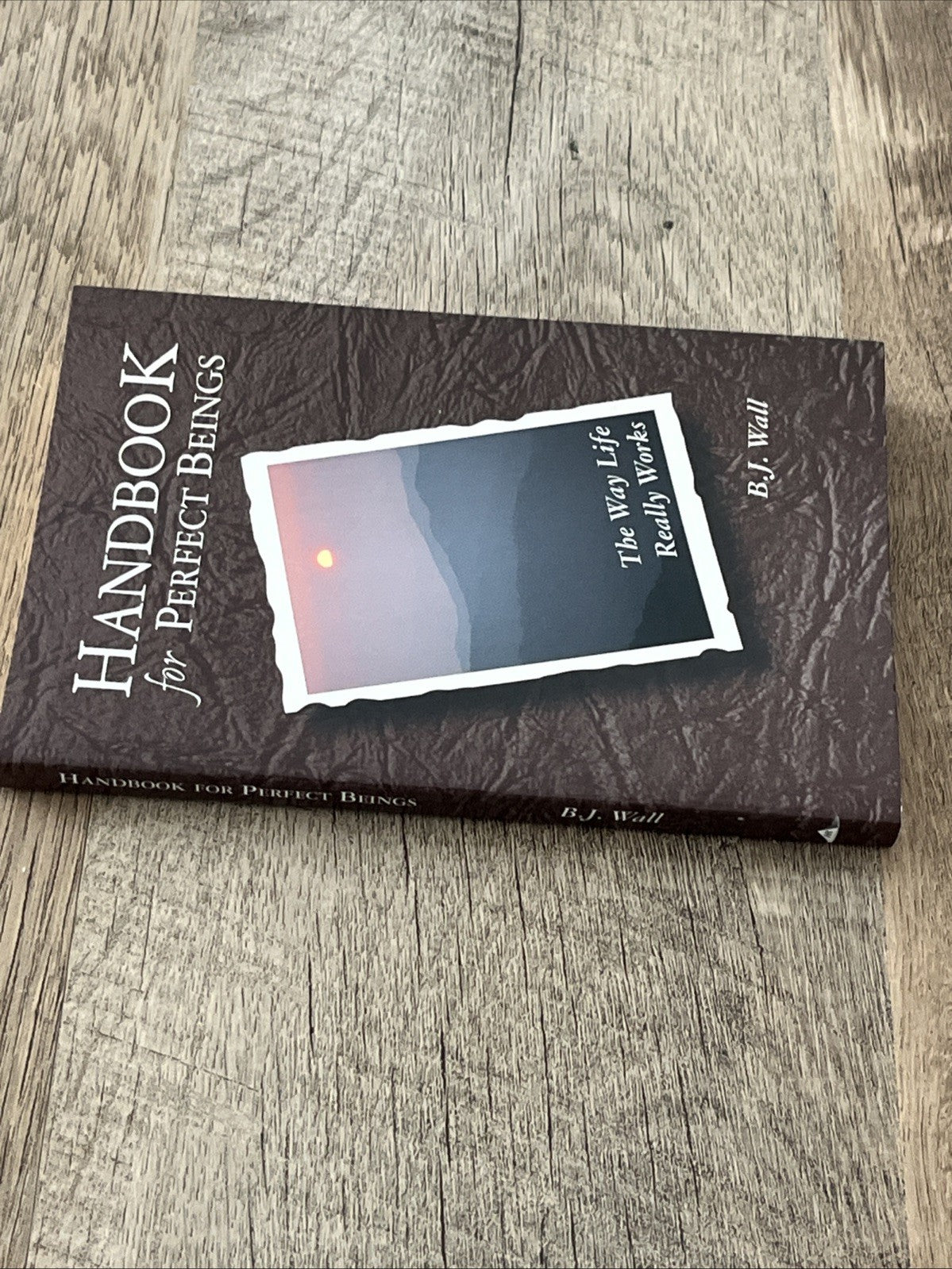 Handbook for Perfect Beings: The Way Life Really Works by B.J. Wall (English)
