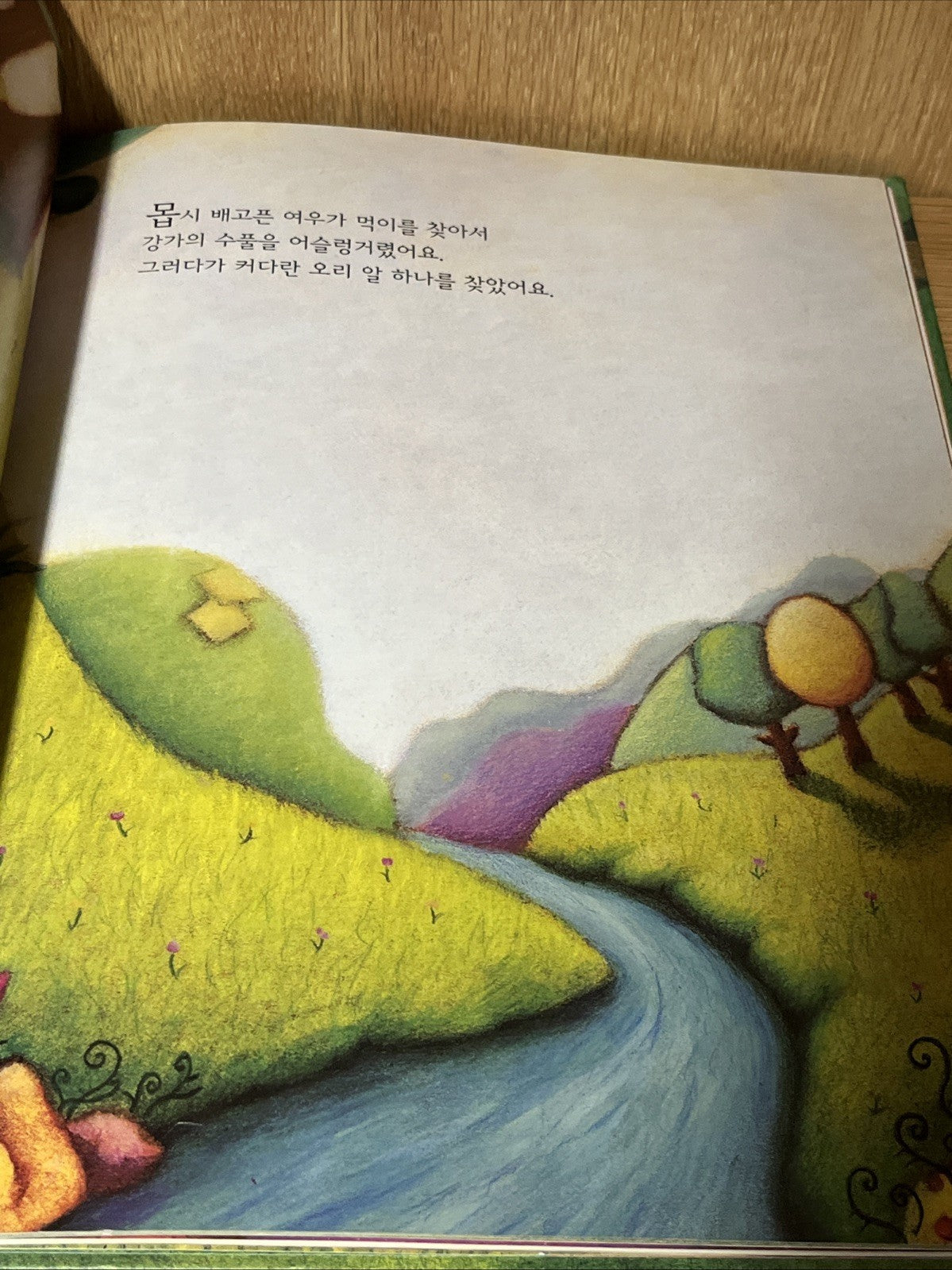 The Fox I Gave Birth to a Duck Sun Qingfeng Korean Children's Book