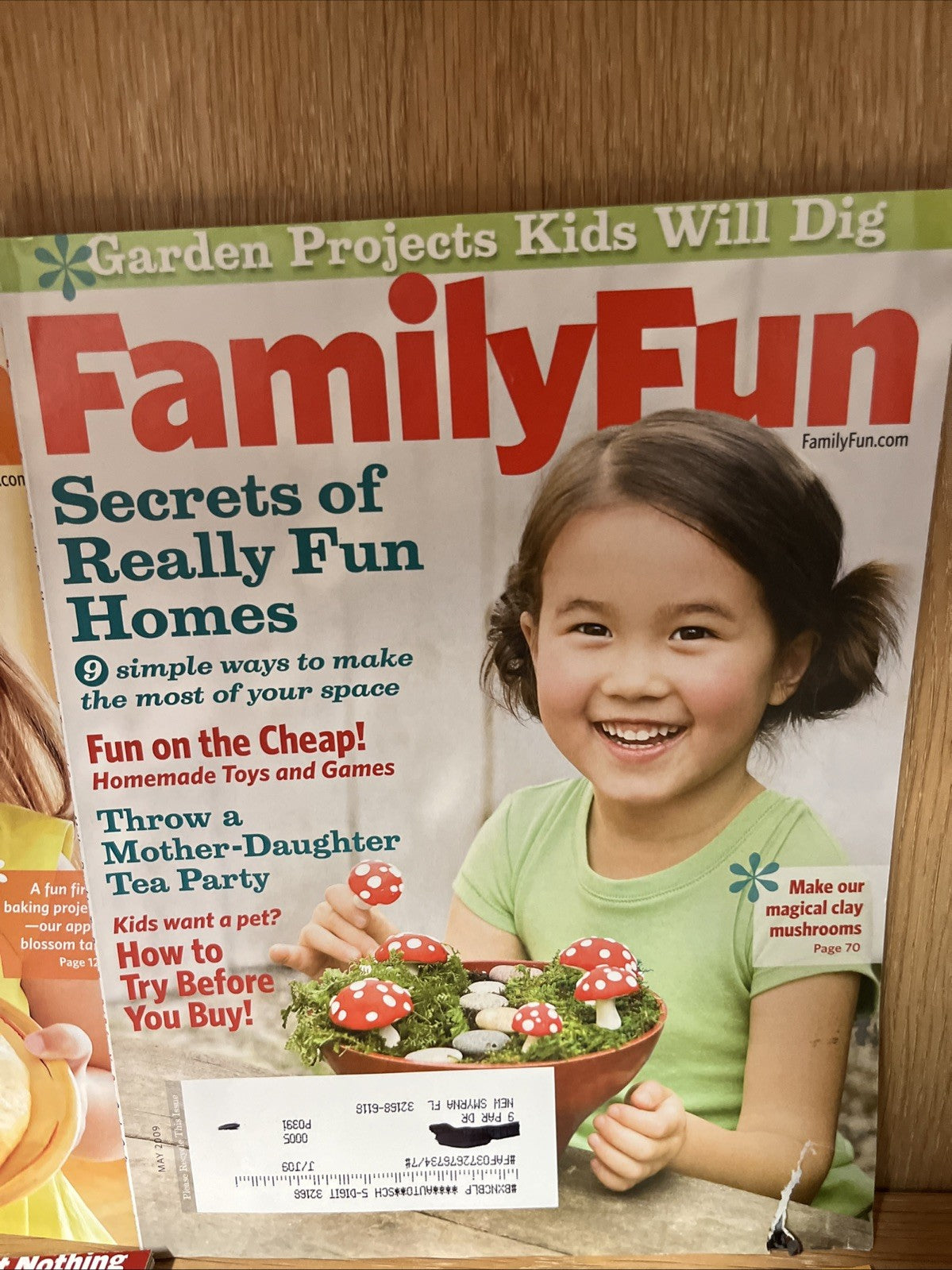 Family Fun Magazine 9 Lot 2008 and 2009 Assorted Issues