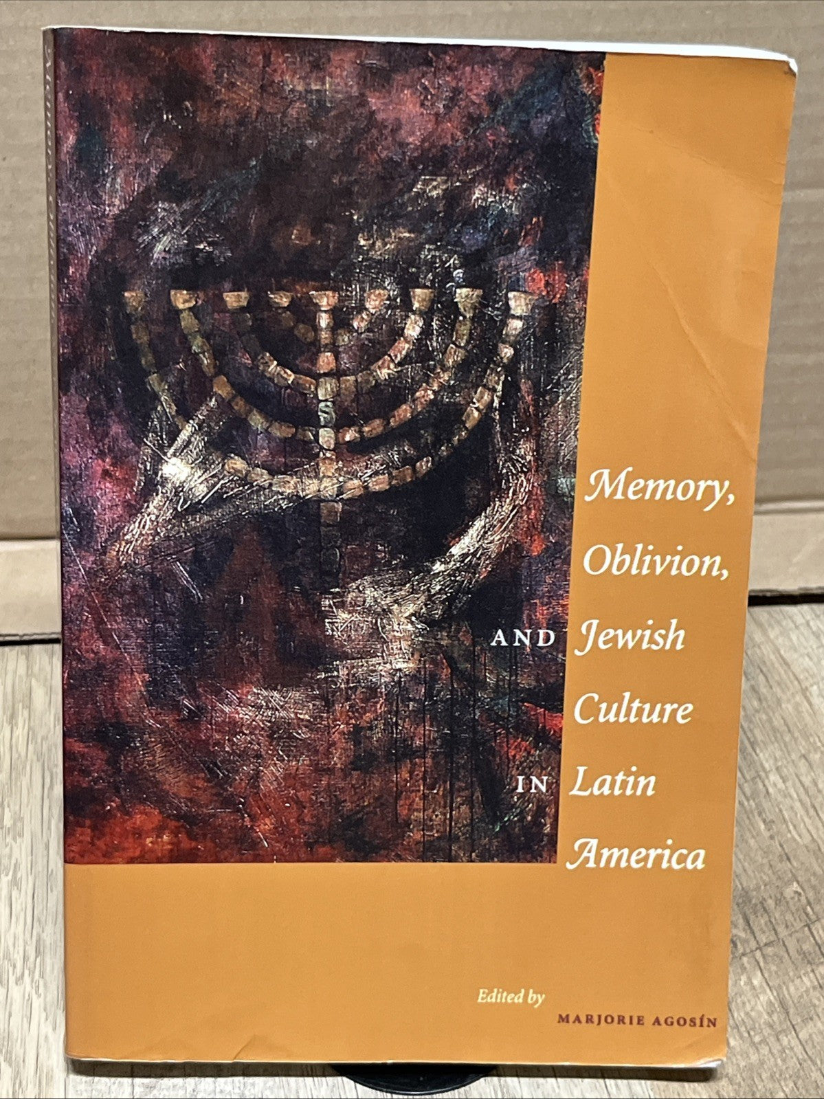 MEMORY, OBLIVION, AND JEWISH CULTURE IN LATIN AMERICA 1st Ed By Marjorie Agosin