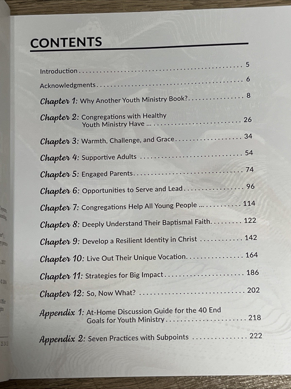 Seven Practices of Healthy Youth Ministry by Julianna Shults