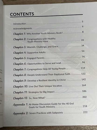 Seven Practices of Healthy Youth Ministry by Julianna Shults