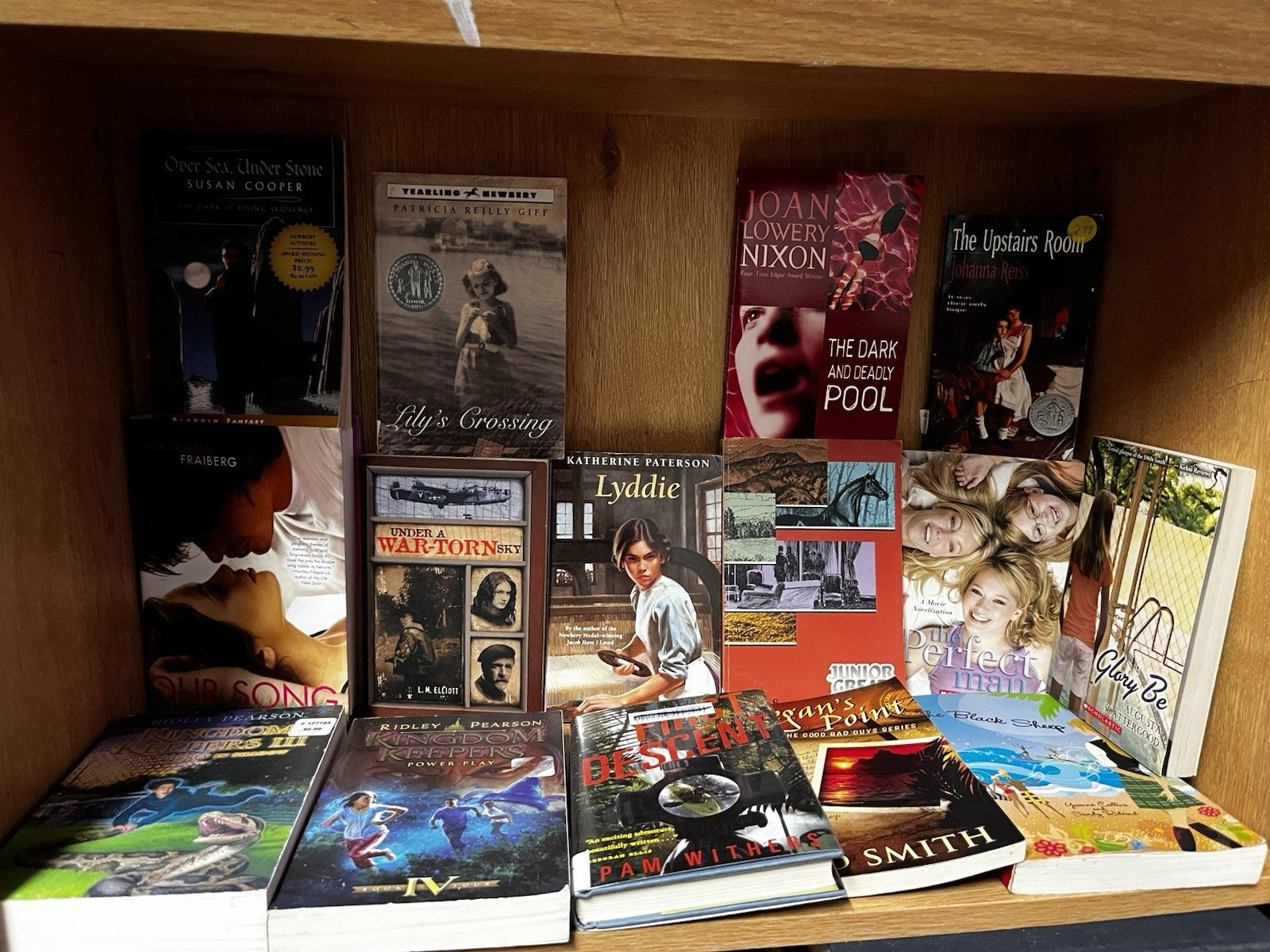 YOUNG ADULT & PRE-TEEN BOOK BUNDLE 20 LOT