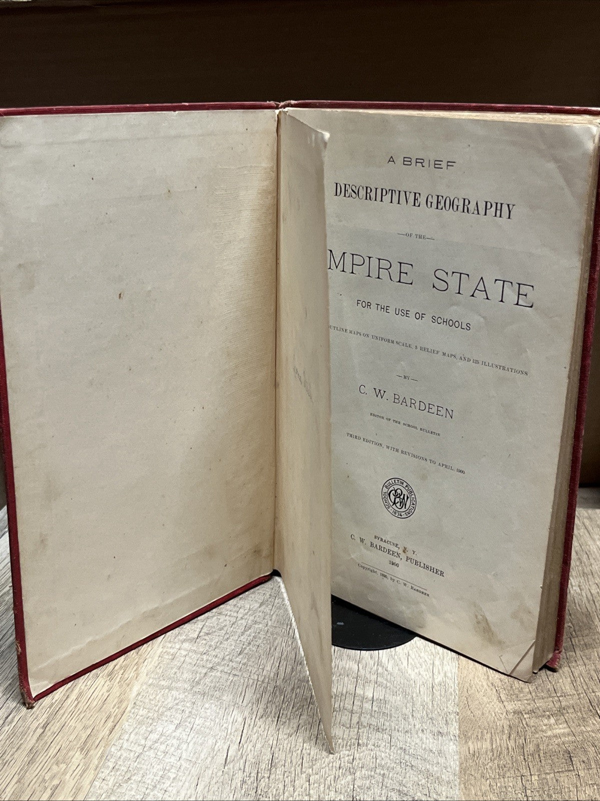 Vintage A Brief Descriptive Geography of the Empire State by C.W. Bardeen 1900