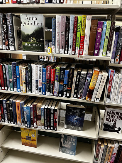 Western Books Used Lot of 10 Random Books