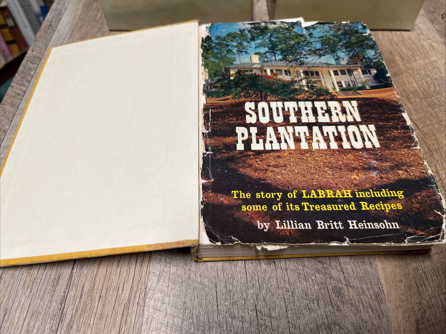 Southern Plantation 1st Edition Lillian Britt Heinsohn 1962