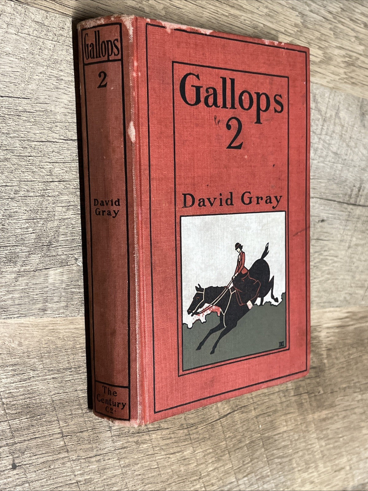 Old Book Gallops 2 by David Gray 1903