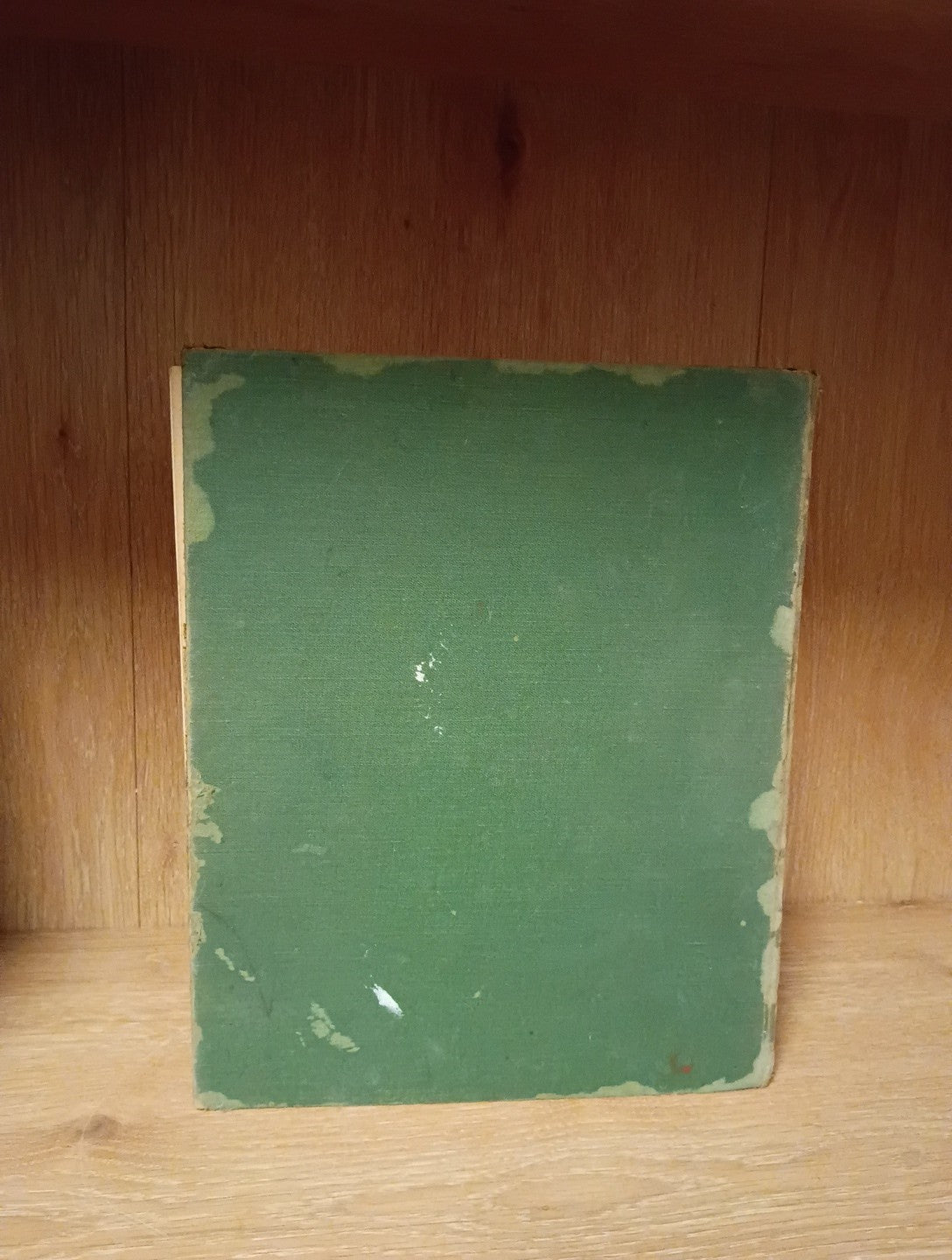 Arshile Gorky 1st Edition by Ethel K. Schwabacher | Avant Garde Artist | 1957 