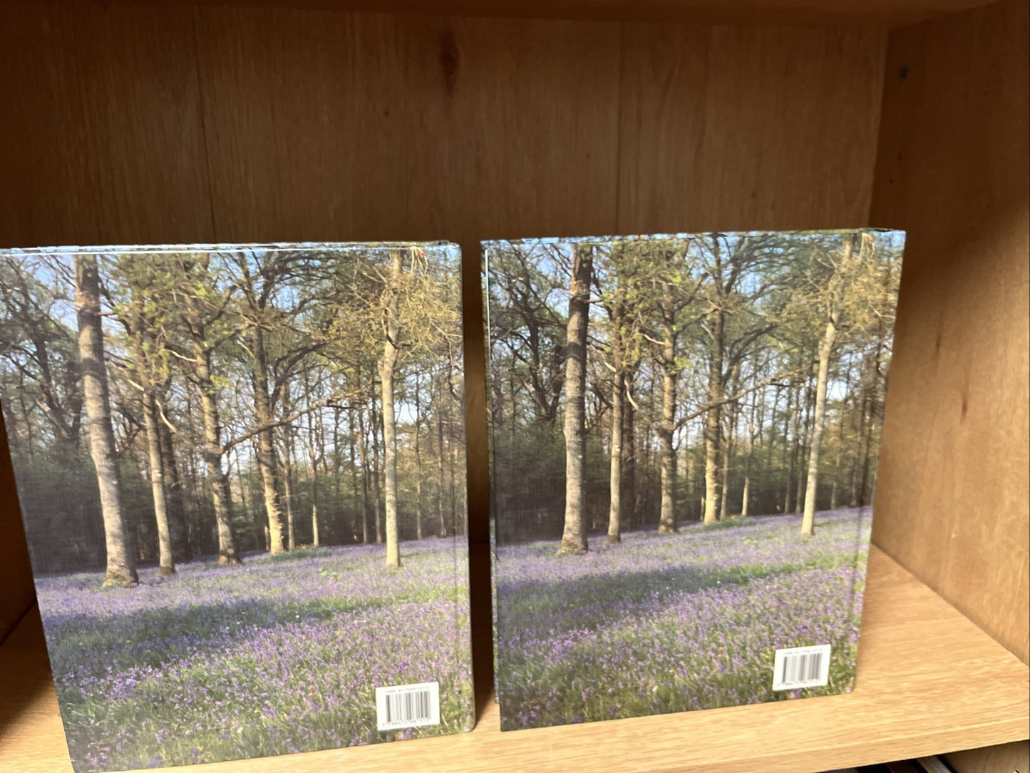 Enciclopedia de las Plantas Medicinales (Spanish Edition) - Vol 1 & 2- Dr. Roger
