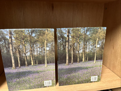 Enciclopedia de las Plantas Medicinales (Spanish Edition) - Vol 1 & 2- Dr. Roger