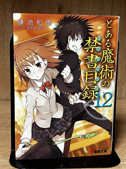 A Certain Magical Index Vol.12 Japanese Light Novel Book Comic Anime Manga