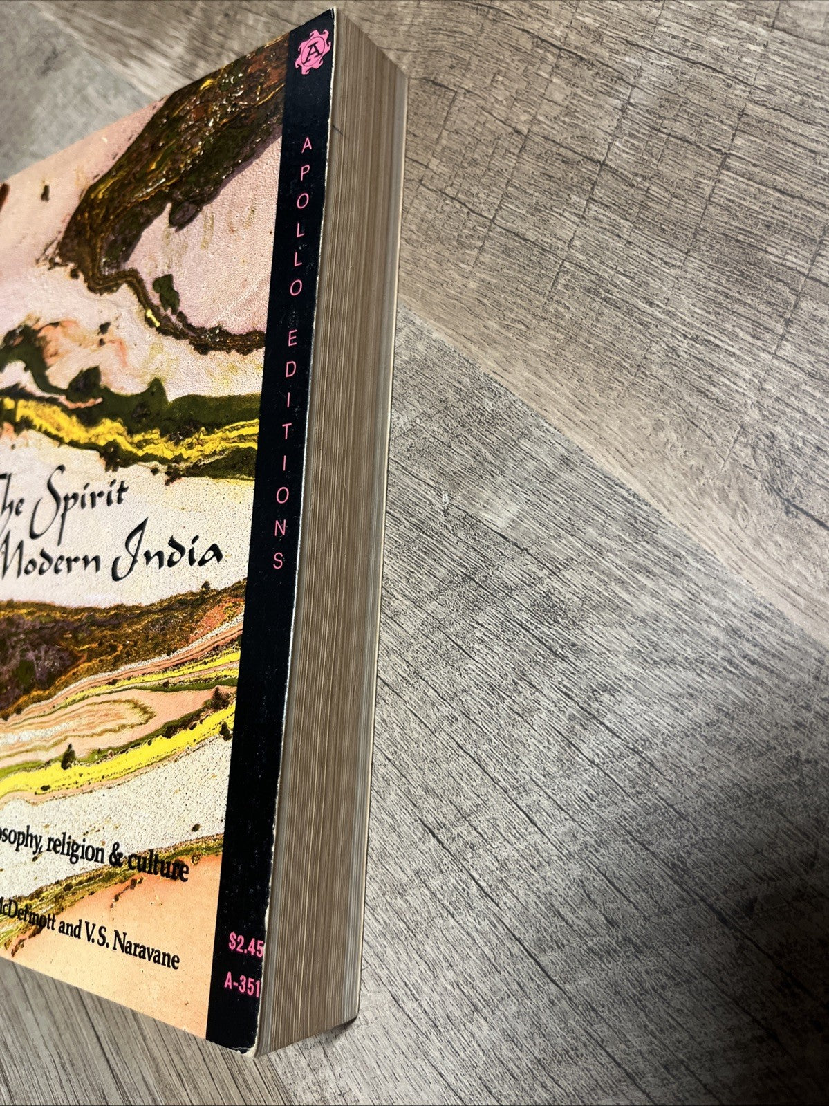 The Spirit of Modern India 1st Edition Robert A McDermott 1974 VG PB
