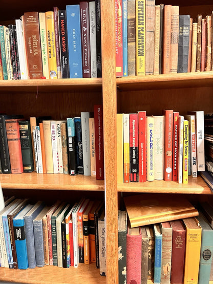 100 Wholesale ReSale Books Lot