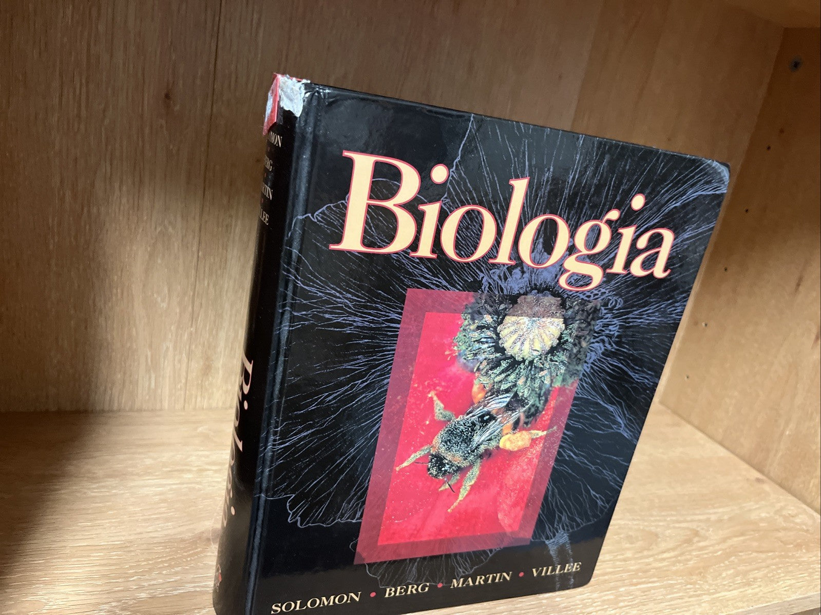 Biology by Eldra Solomon (1993, Hardcover)
