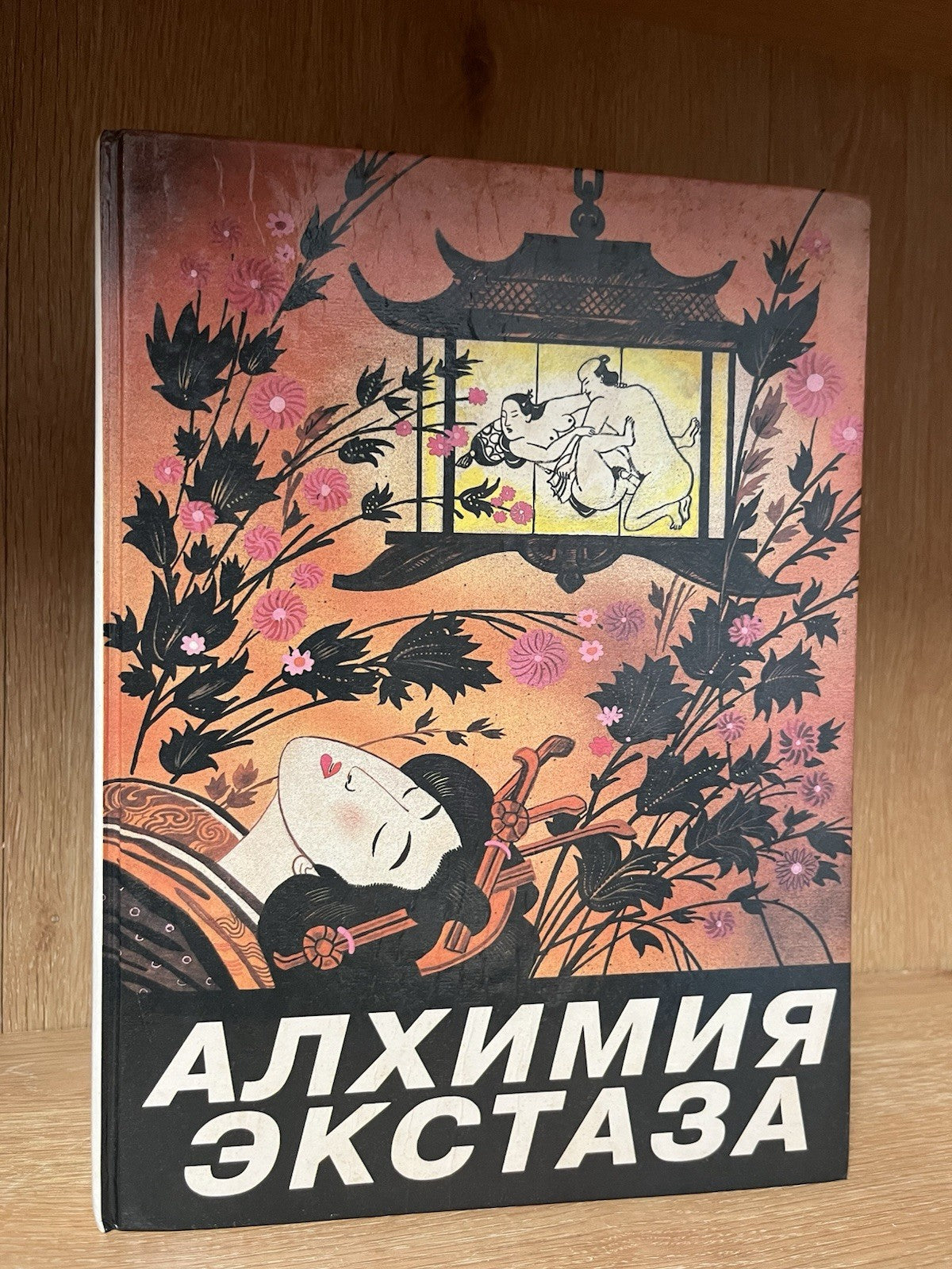 Алхимия экстаза (Alchemy of Ecstasy) is a 1995 Russian edition