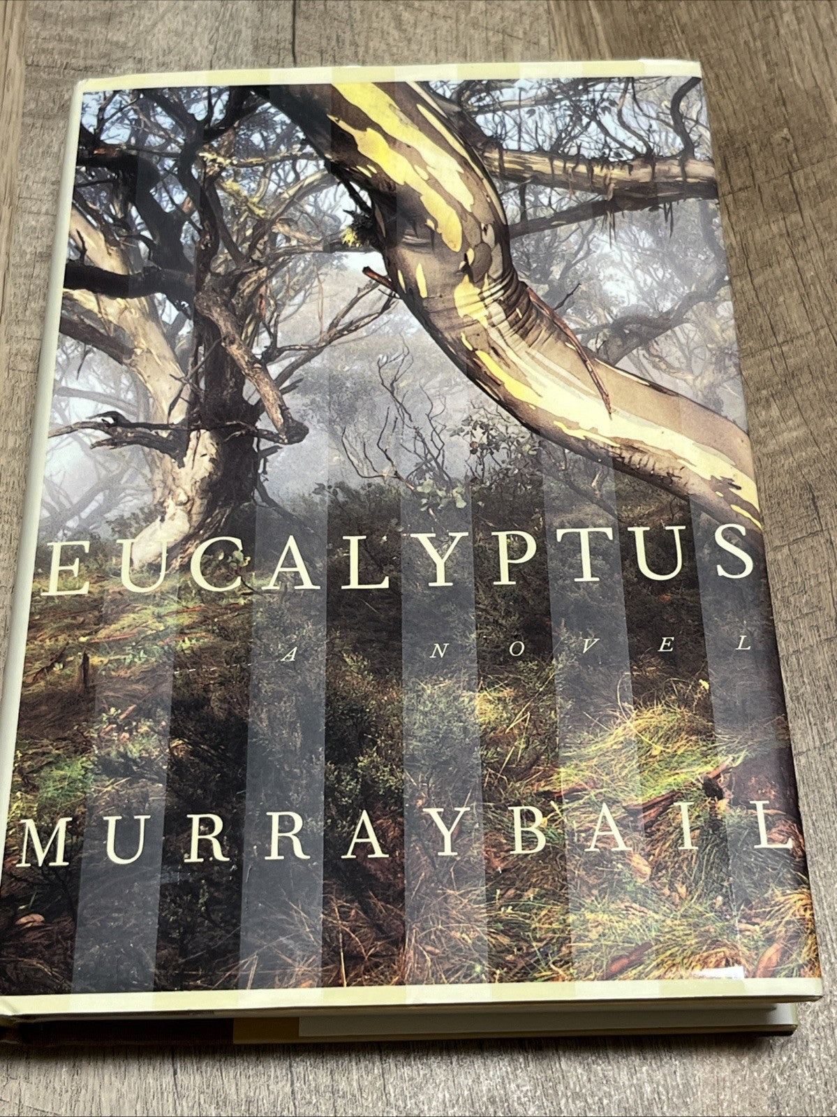 Eucalyptus : A Novel by Murray Bail (1998, Hardcover)